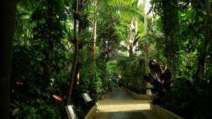 Kew Gardens Palm House interior     